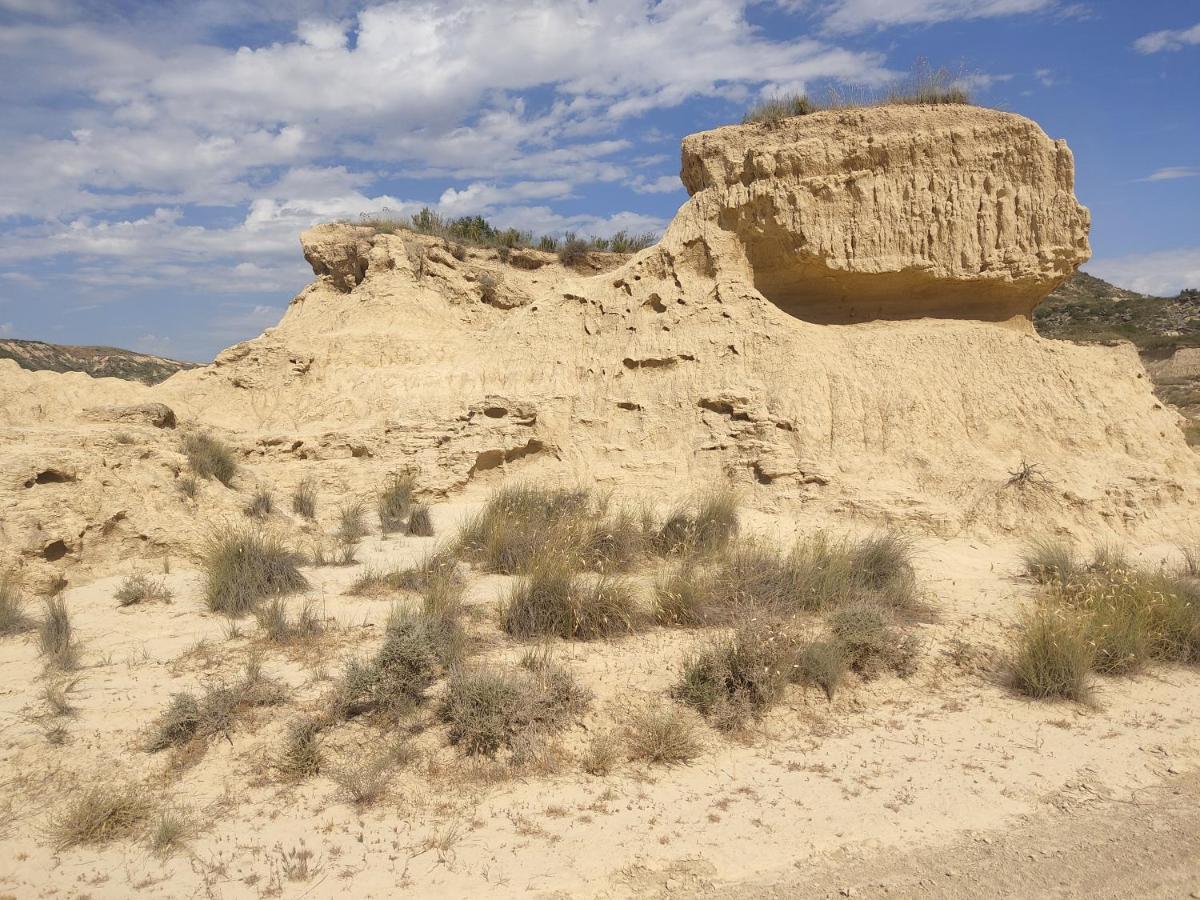 El Pinar De Bardena Villa Carcastillo Luaran gambar