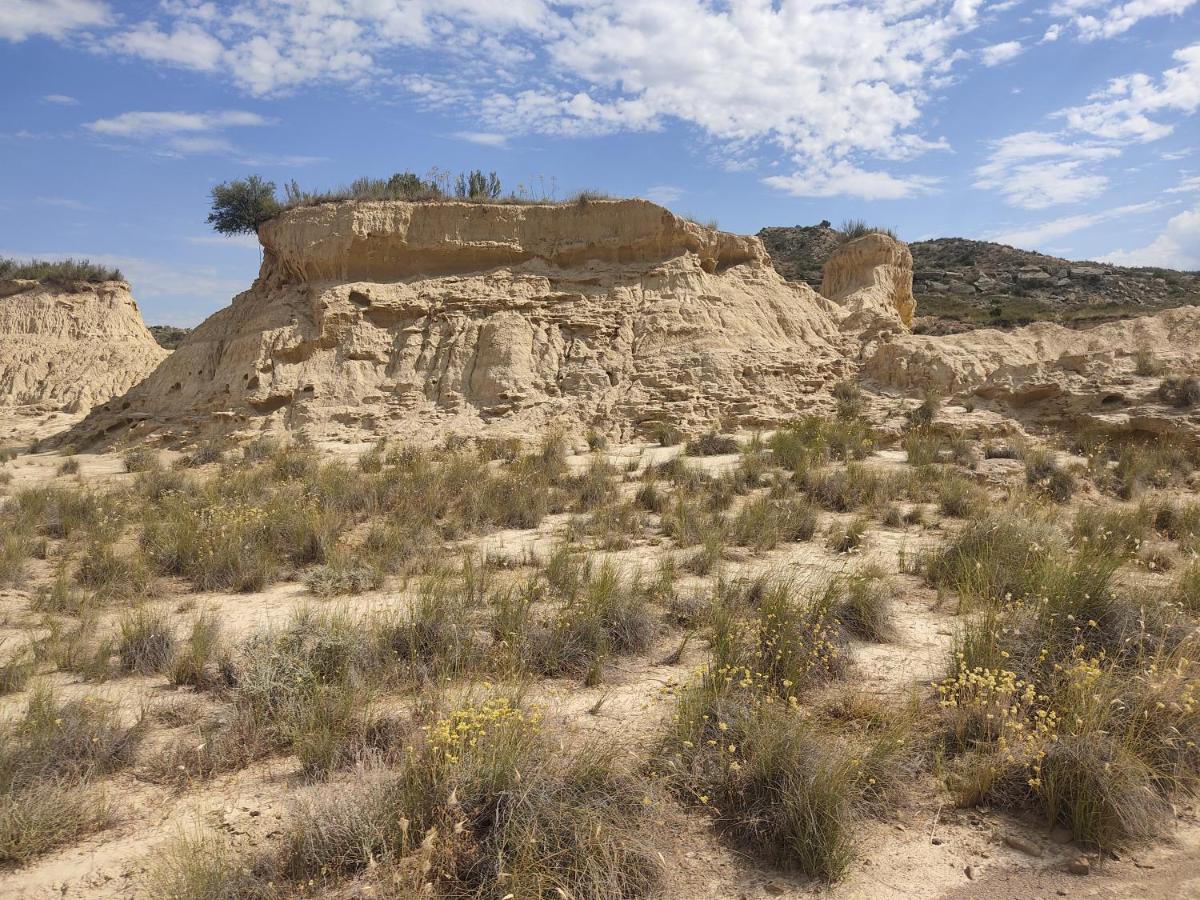 El Pinar De Bardena Villa Carcastillo Luaran gambar